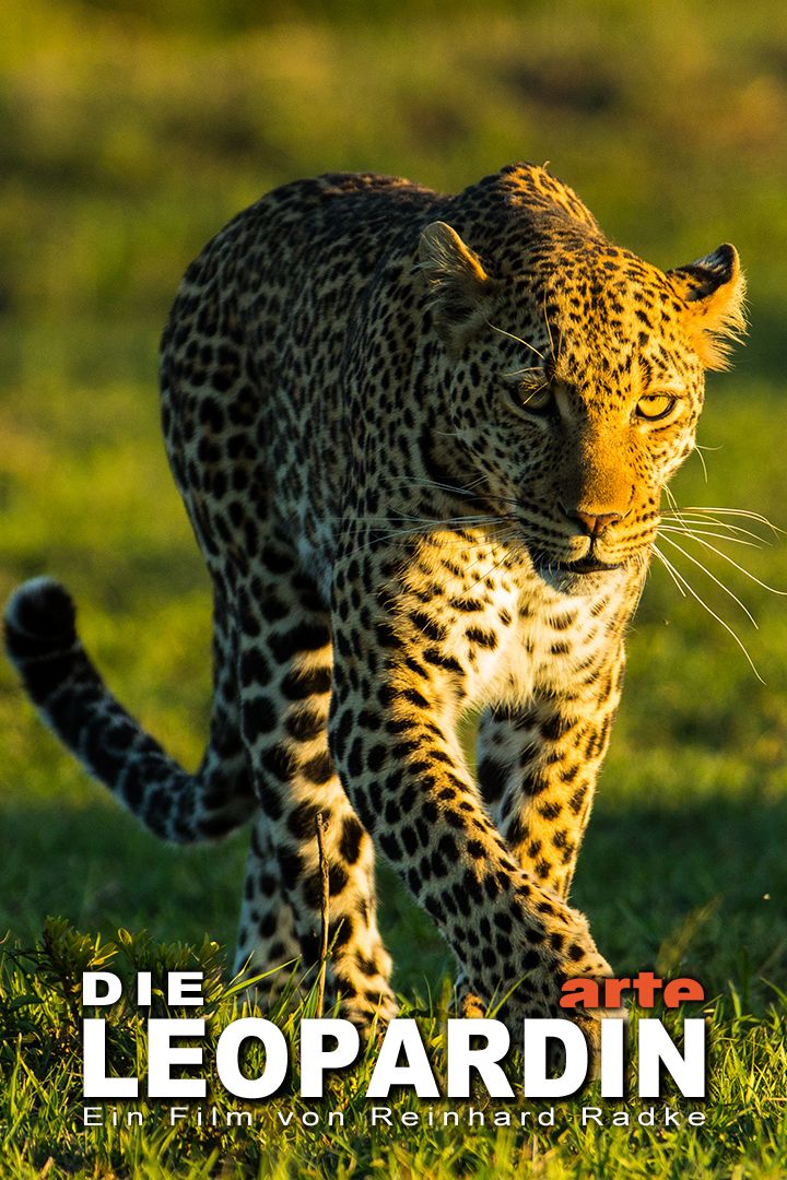 Королева леопардов || Die Leopardin (2020)
