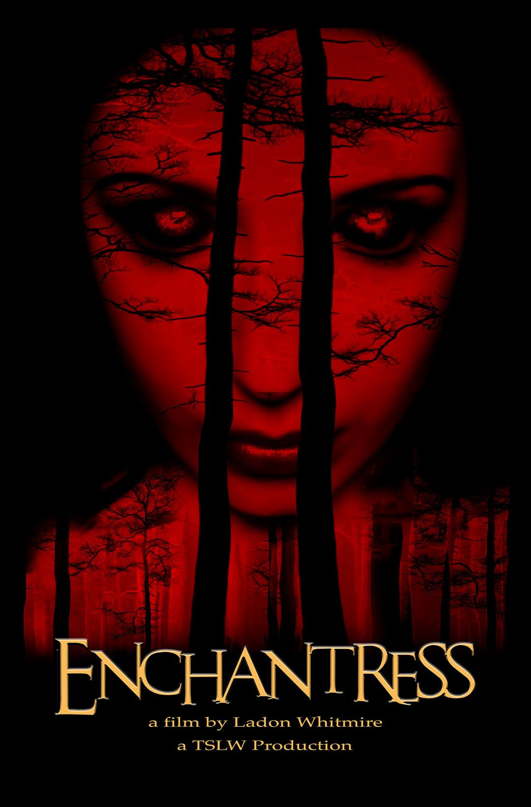 Чародейка || Enchantress (2022)