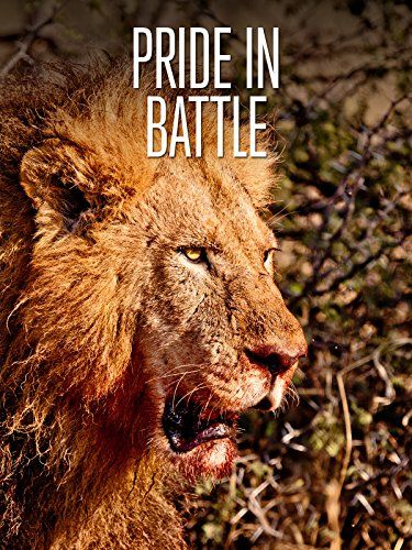 Pride in Battle (2010)