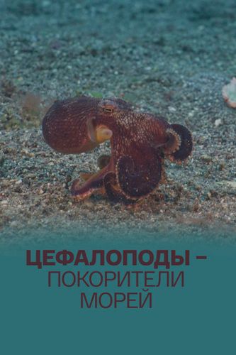 Цефалоподы – покорители морей || Céphalopodes: le règne des ventouses (2021)