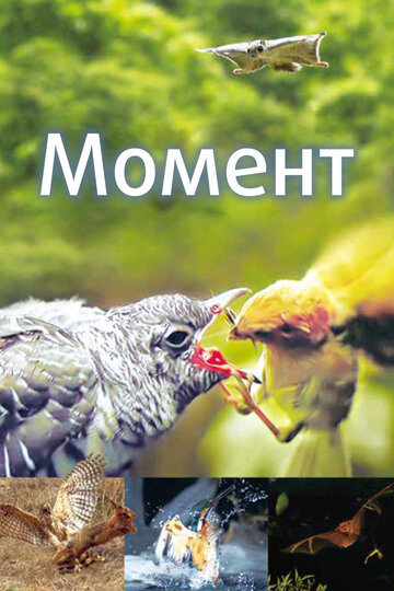 Момент || Moment (2016)