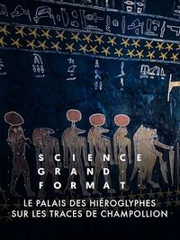 Дворец с иероглифами. По следам Шампольона || Le Palais des hiéroglyphes - Sur les traces de Champollion (2022)