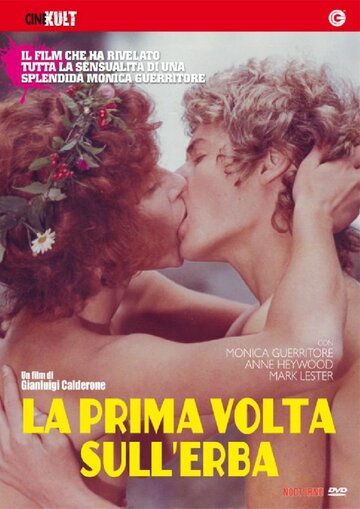 Любовь под вязами || La prima volta, sull'erba (1975)