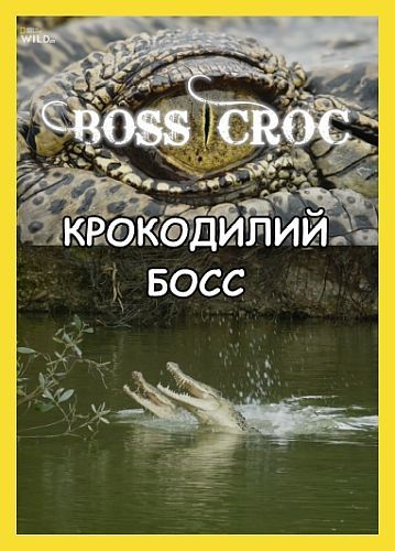 Крокодилий босс || Boss Croc (2017)