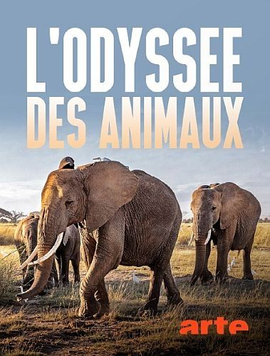 Одиссея животных || L'odyssée des animaux (2022)