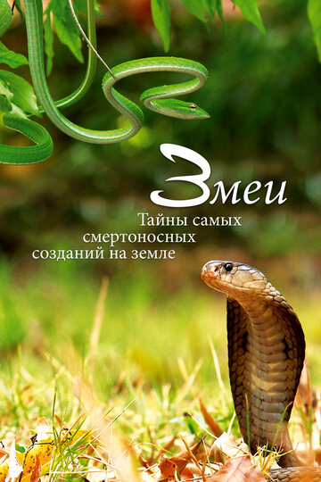 Змеи. Тайны самых смертоносных созданий на земле || Snakes, Secrets of Nature’s Deadliest Creatures (2014)