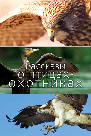 Рассказы о птицах-охотниках || Tales of the Avian Hunters (2011)