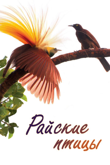 Райские птицы || Birds of Paradise (2014)