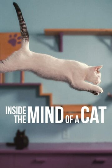 Внутри разума кошки || Inside the Mind of a Cat (2022)