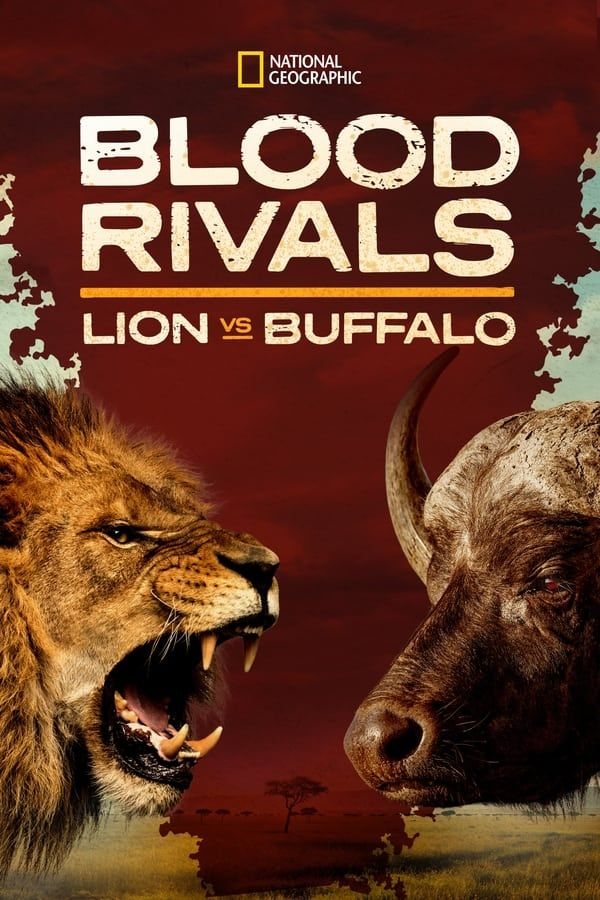 Blood Rivals Lion vs Buffalo: Buffalo Fortress (2014)