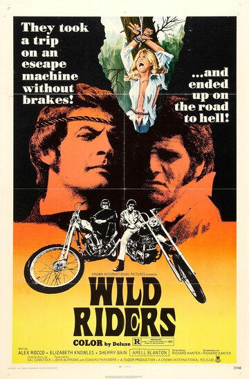 Дикие мятежники || Wild Riders (1971)
