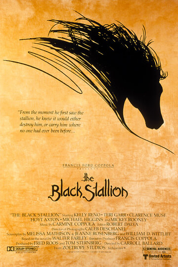 Черный скакун || The Black Stallion (1979)