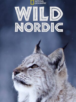 Дикая Скандинавия || Wild Nordic (2019)