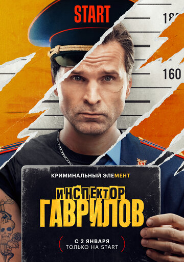 Инспектор Гаврилов || Inspektor Gavrilov (2024)