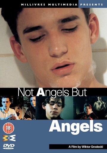 Не ангелы, но ангелы || Not Angels But Angels (1994)