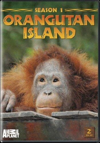 Остров орангутанов || Orangutan Island (2007)