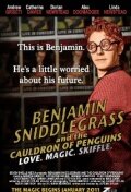 Бенджамин Сниддлграс и котёл с пингвинами || Benjamin Sniddlegrass and the Cauldron of Penguins (2011)