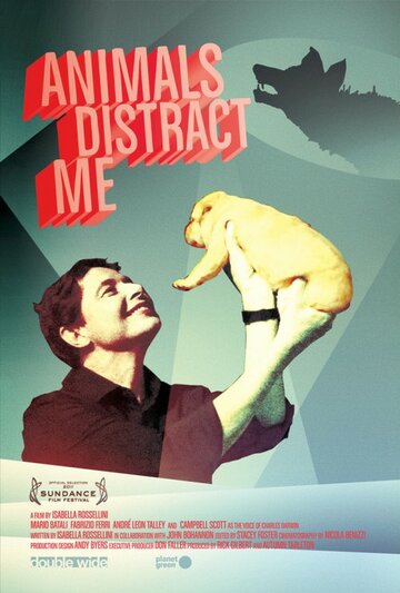 Животные меня отвлекают || Animals Distract Me (2011)