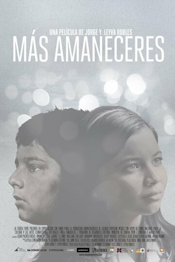 На рассвете || Más amaneceres (2013)