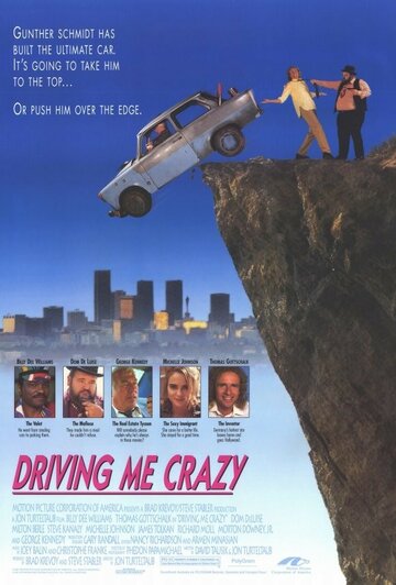 Сумасшедшая история || Driving Me Crazy (1991)