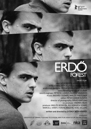 Лес || Erdö (2011)