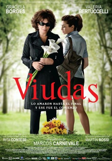 Вдовы || Viudas (2011)