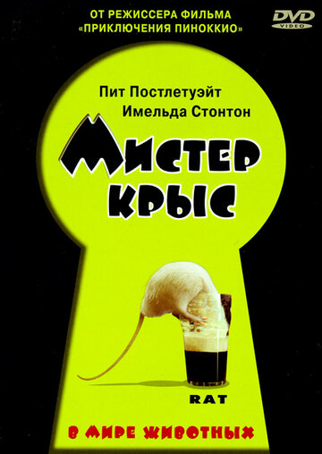 Мистер крыс || Rat (2000)