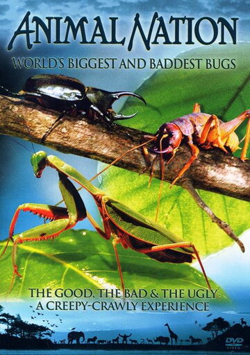 Самые большие и страшные жуки в мире || World's Biggest and Baddest Bugs (2009)