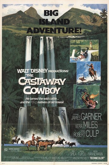 Ковбой издалека || The Castaway Cowboy (1974)