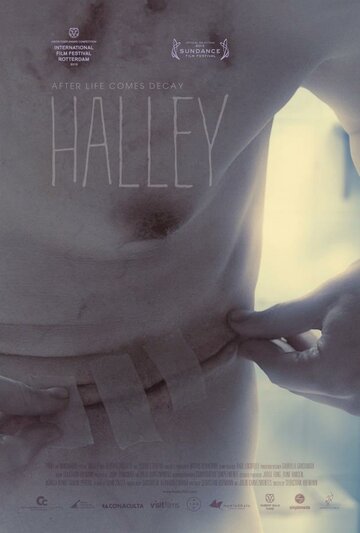 Галлея || Halley (2012)