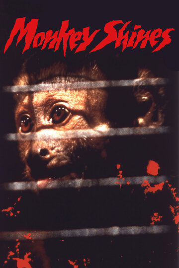 Обезьяна-убийца || Monkey Shines (1988)