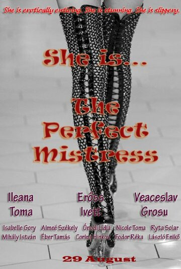 Идеальная любовница || The Perfect Mistress (2011)