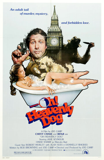 О, божественный пес! || Oh Heavenly Dog (1980)
