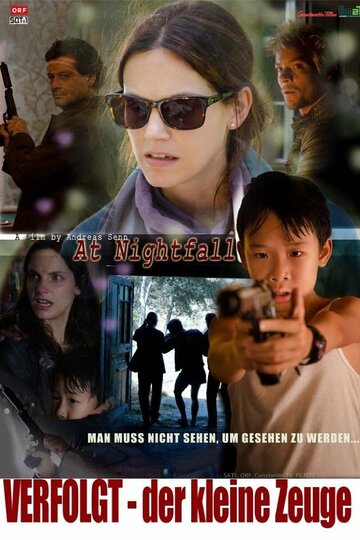 Преследуемый маленький свидетель || Verfolgt - Der kleine Zeuge (2012)