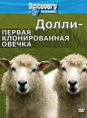 Discovery: Долли – первая клонированная овечка || Dolly: The First Cloned Sheep (2006)