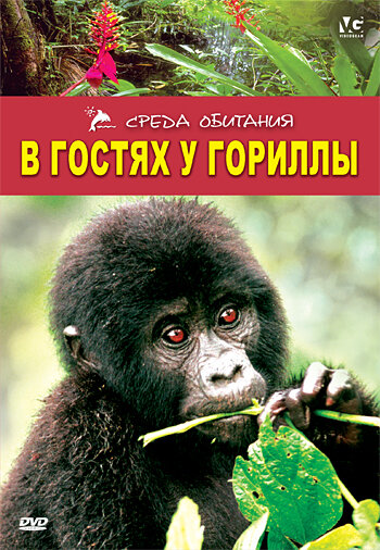 В гостях у гориллы || Gorilla Gorilla (1997)