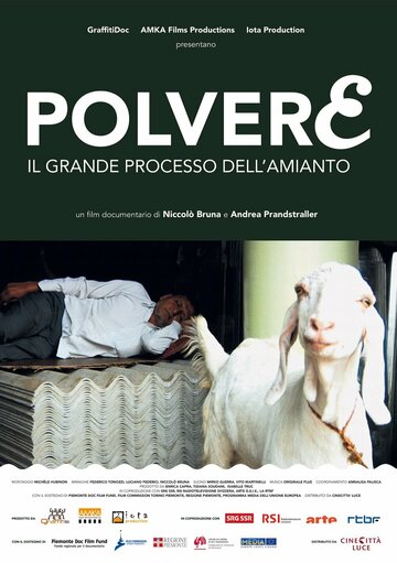 Polvere - Il grande processo dell'amianto (2011)