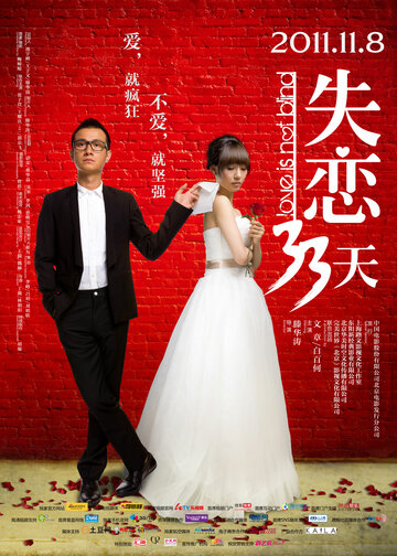 Любовь не слепа || Shi Lian 33 Tian (2011)