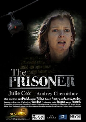 Заключенный || The Prisoner (2012)