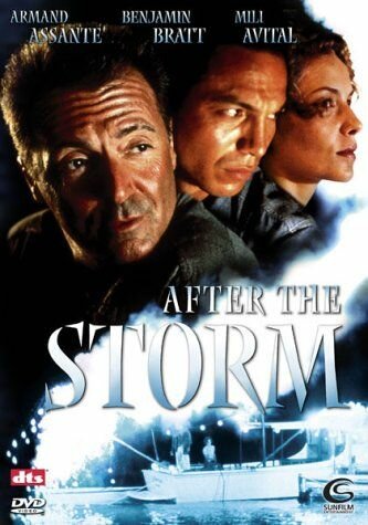 После шторма || After the Storm (2001)