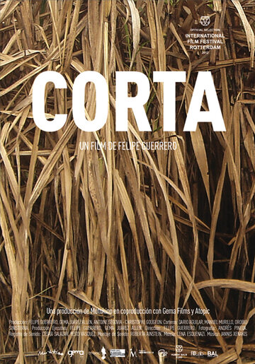 Рубка || Corta (2012)