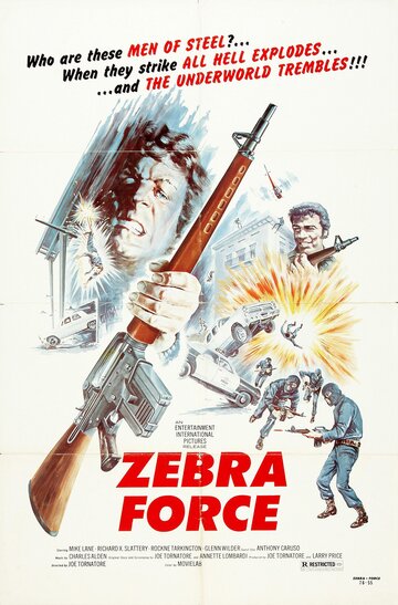 Отряд «Зебра» || The Zebra Force (1976)