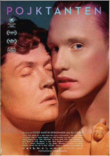 Мальчики-девочки || Pojktanten (2012)