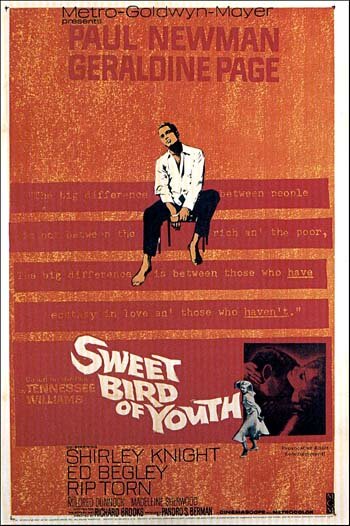 Сладкоголосая птица юности || Sweet Bird of Youth (1962)