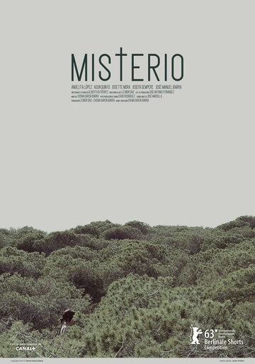 Тайна || Misterio (2013)