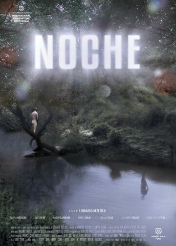 Ночь || Noche (2013)