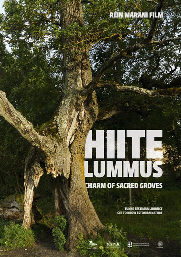 Тайная роща || Hiite lummus (2013)