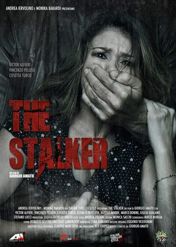 Сталкер || The Stalker (2013)