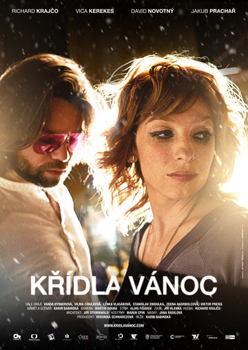 Крылатое Рождество || Krídla Vánoc (2013)