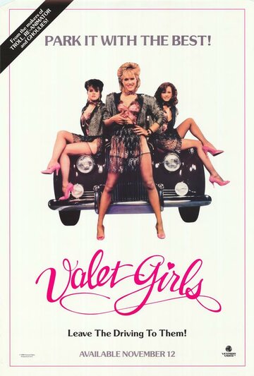 Услужливые девушки || Valet Girls (1987)